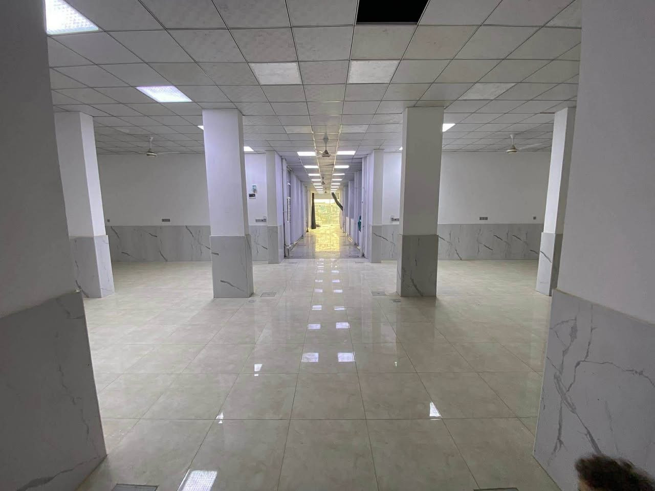 السلام عليكم عمارة مجمع طبي ويصلح ان يكون مستشفى اهلي او شركة او مصرف اهلي حاليا مجهزة  للبيع
VIP من عشرين عيادة مجهزات من سبالت ومغاسل تعليگ    وساحة انتظار المراجعين واجهه 20 نزال 40 الطابق الارضي عيادات والطوابق الثاني والثالث بناء على شكل بيت وايضا مجهزات من كل شي للاستفسار الاتصال على الرقم 
*********** ابو يوسف،
