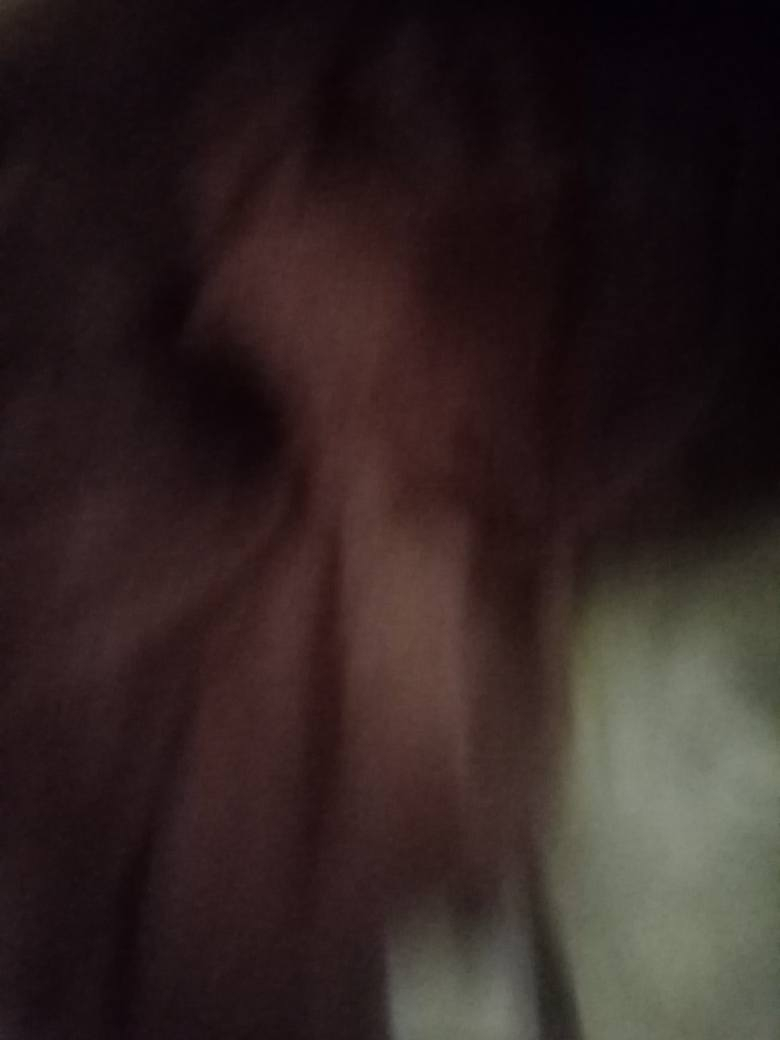 راوتر وجلكانات عدد ٥
وبردات شامو قديفه لون جوزي لبنص تجي تول كل قطعه مترين وارتفاع ٣ أمتار
قيم واخذ للاستفسار الاتصال على الرقم *********** مكان كربلاء واتساب موجود
