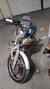 مراوس بتايجر 07757726296