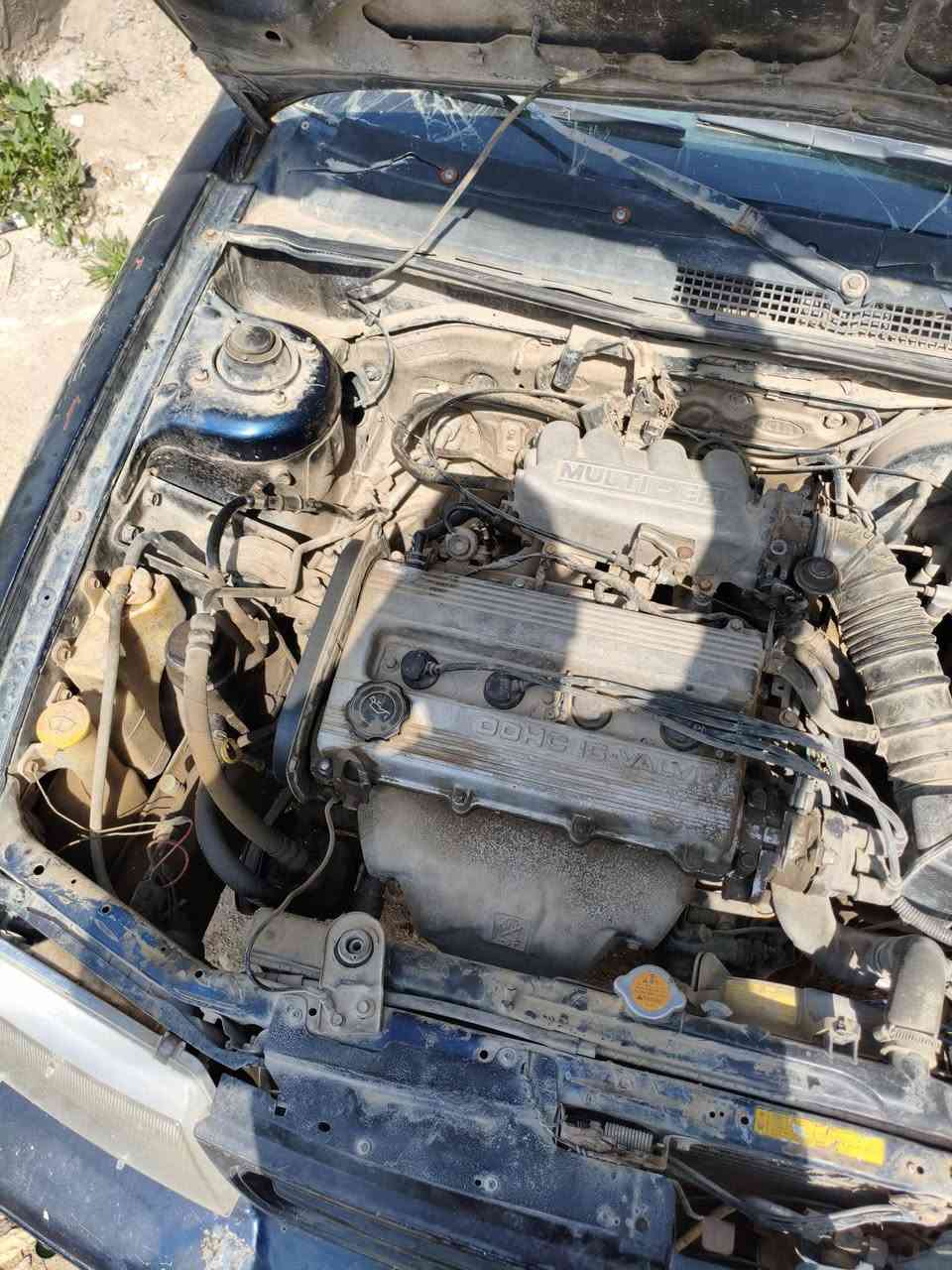 كيه سيفيا البيع السعر 18 بيه مجال سياره جاهزه عندي رقم ابو وكاله شغاله مانقصه شي ترهم مراوس السنويه تفاصيل من المرور رقم بابل رقم الهاتف *********** العنوان بابل سياحي
