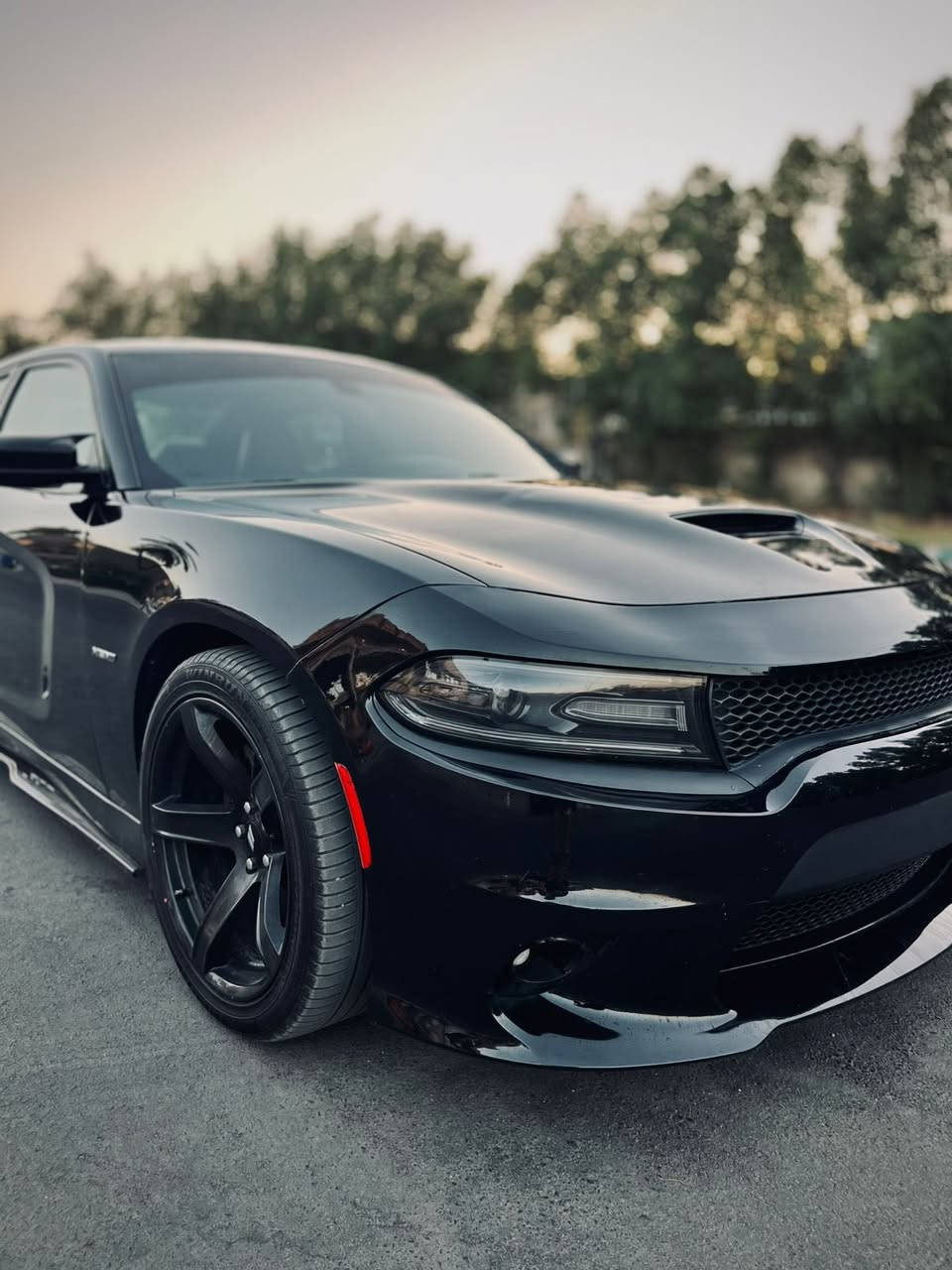 السلام عليكم
للبيع دودج تشارجر RT سوبر تراك باك وارد امريكي موديل 2019 ماشيه 71  الف مايل
الحادث: جاملغ السائق مبدل ومصبوغ
 وباب السائق مبدل لون اصلي بدون صبغ 
ونصف الباب خلف السائق مصبوغ و الجاملغ الخلفي عكس السائق بيه طخة بسيطة 

بالنسبة للمواصفات معروف مواصفات الارتي العاديه المعرفه واضحه ب الصور

الإضافات: لدات اوريكال متغير كل الالوان ع التليفون 
برمجة وتفريغ يم مصطفى ايكل (( الحجرات الاصليه موجوده)) الاكزوز بلادي دبات سود srt
ويل توسايز خسفة قويه وتايرات تايلندي اصلي  
الخلفيه 315 والامامي 275 
دوسات جانبيه srt وسكوبات ودفيوزر 
السياره قبل اسبوع مسويله  بولش وحمام وادامه كامله للمكينه ( بلكات, نوزلات,فلاتر ) 
للاتصال ***********
