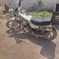 جني • اوراق • نواقص بسيطة