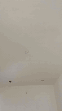 السلام عليكم الي محتاج خلفات بياض جص وبورك شغل درجه اولئ استلام مهندس كادر مكون 4 خلفات العمل فقط بغداد متواجد علئ الخاص  ***********
