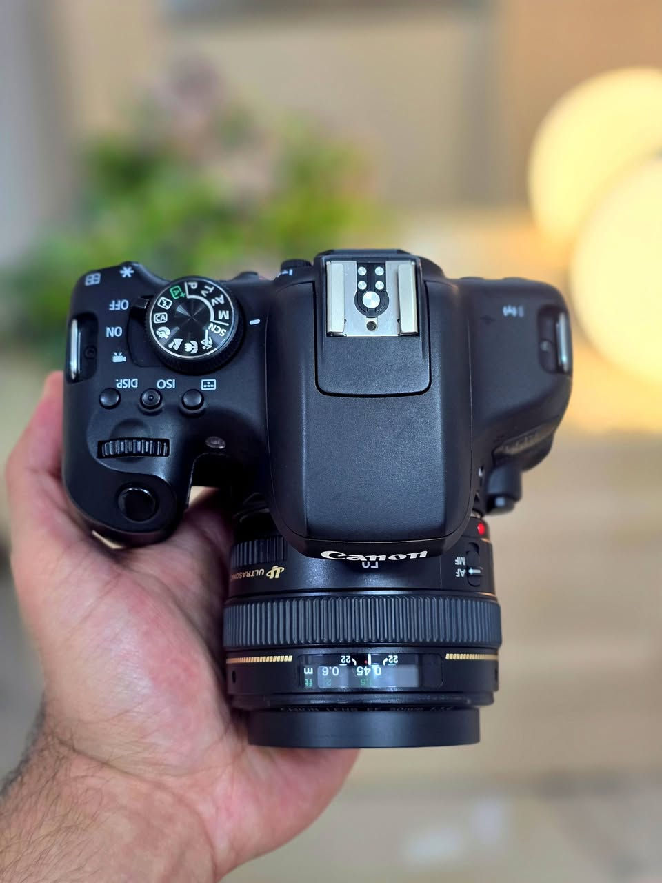 500 الف مع التوصيل مكاني نجف


**إذا كنت صاحب هذا الإعلان وتريد حذفه لأي سبب، رجاءا أرسل رسالة إلى الدعم الفني**