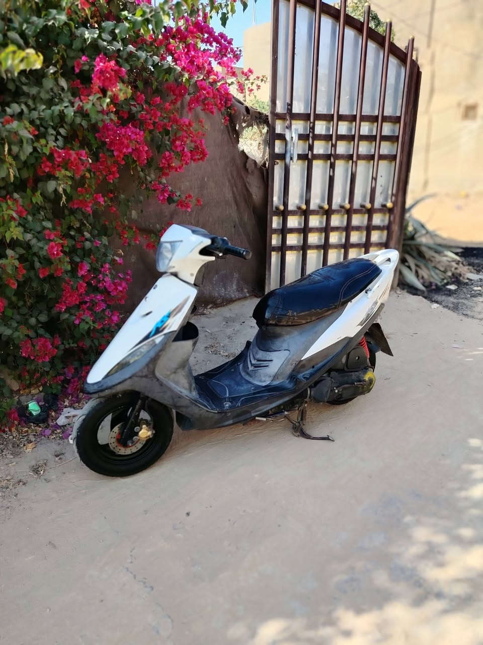 للبيع ماكس عدله الدراجه كامله مكمله نقصه فقط باتري الدراجه شلعه و معدل تآكل الكاع كله بلاديه السعر ب ٦٥٠ قفله من الاخير لا اعاملك َلا تعاملني مكاني بابل قرب جسر بته الاستفسار ***********
