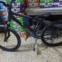 جينت • سبع لوان • مرتب