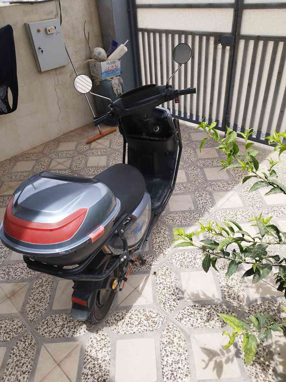 دراجه شحن للبيع 
بيهه سبع بطاريت 32w
ملفهه 3000
سرعه الدراجه 90حقيقي 
بيهه لايت عالي وزينون 
الدراجه مدرعه من برهه 
بيهه جنطتين جنطه بمكان السائق وجنطه ليوره 
عقله توب مامبدل 
البريكات دسكات وفلنجه 
بيهه نضام ال(R) بك
الدراجه ثلاث سرع كير
بيهه نضام الشاشه محدد سرعه ومحدد اعطال وكير وشحن 
السعر بل اتصال رقم التليفون ***********

