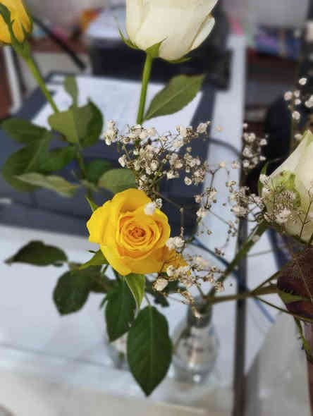 #للبيع
تلسكوب 🔭
تلسكوب Gaterda 80500 اخو الجديد

🔭 حالة المنتج: نظافة 99.9

المميزات:

🔹 مزود بليزر موجه لتحديد الهدف بسهولة

🔹 إمكانية ربط الهاتف والتصوير عبر العدسة

🔹 مناسب لمراقبة القمر والكواكب والنجوم

🔹 صالح أيضاً لمراقبة الطيور والأجسام البعيدة

🔹 تكبير واضح وجودة جيدة للهواة والمبتدئين

محتويات الباكج:

التلسكوب

قاعدة التثبيت

الليزر الموجه

حامل الهاتف

عدسات عدد (2) إضافية

السعر السابق: ١٥٠ الف
السعر الحالي: ١٠٠ الف

للتواصل:  واتساب ***********

📍 توصيل لجميع محافظات العراق
