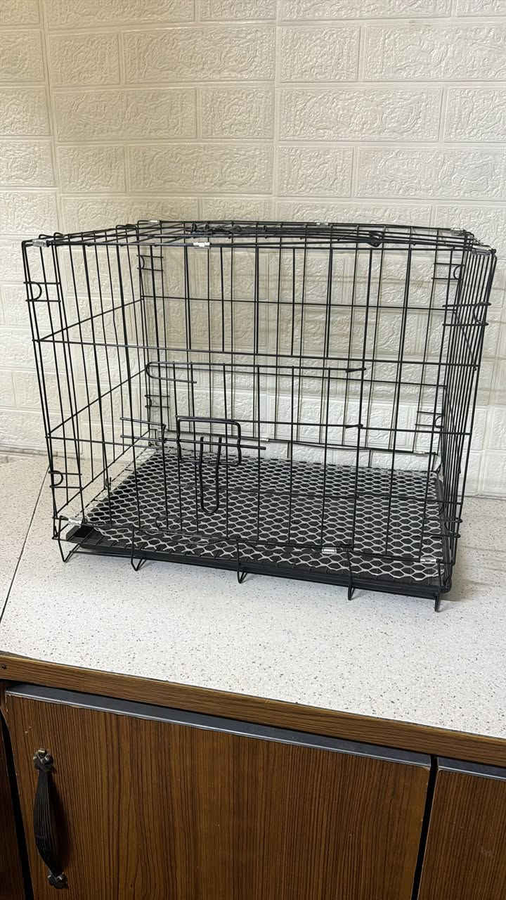 قفص جديد للبيع قياسه ٥٠ سم سعره ١٨


**إذا كنت صاحب هذا الإعلان وتريد حذفه لأي سبب، رجاءا أرسل رسالة إلى الدعم الفني**