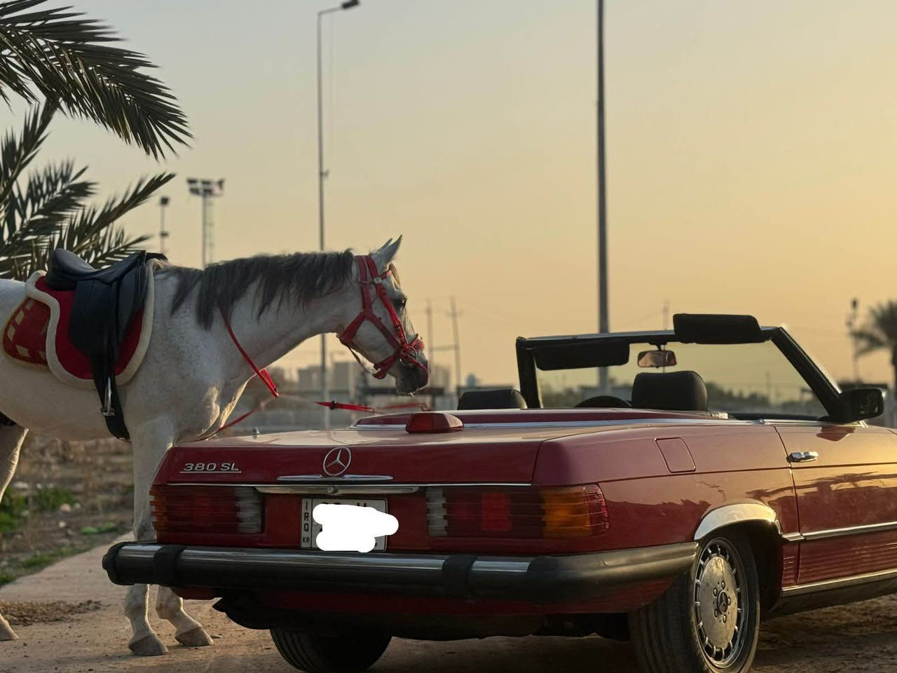 السلام عليكم للبيع 
مارسيدس SL380.  8V
 رقم اربيل 
سيارة على وضعها
مسوي ادامة منضومة البانزين من التانكي للعنكبوت 
بيهة سقف حديد +جادر 
باتري تخم تايرات جدد 
حدادية صدر على وضع الشركة 
مكان السارة اليرموك ٤شوارع 
التواصل 
***********
غير متواجد فيس بغداد, العراق
