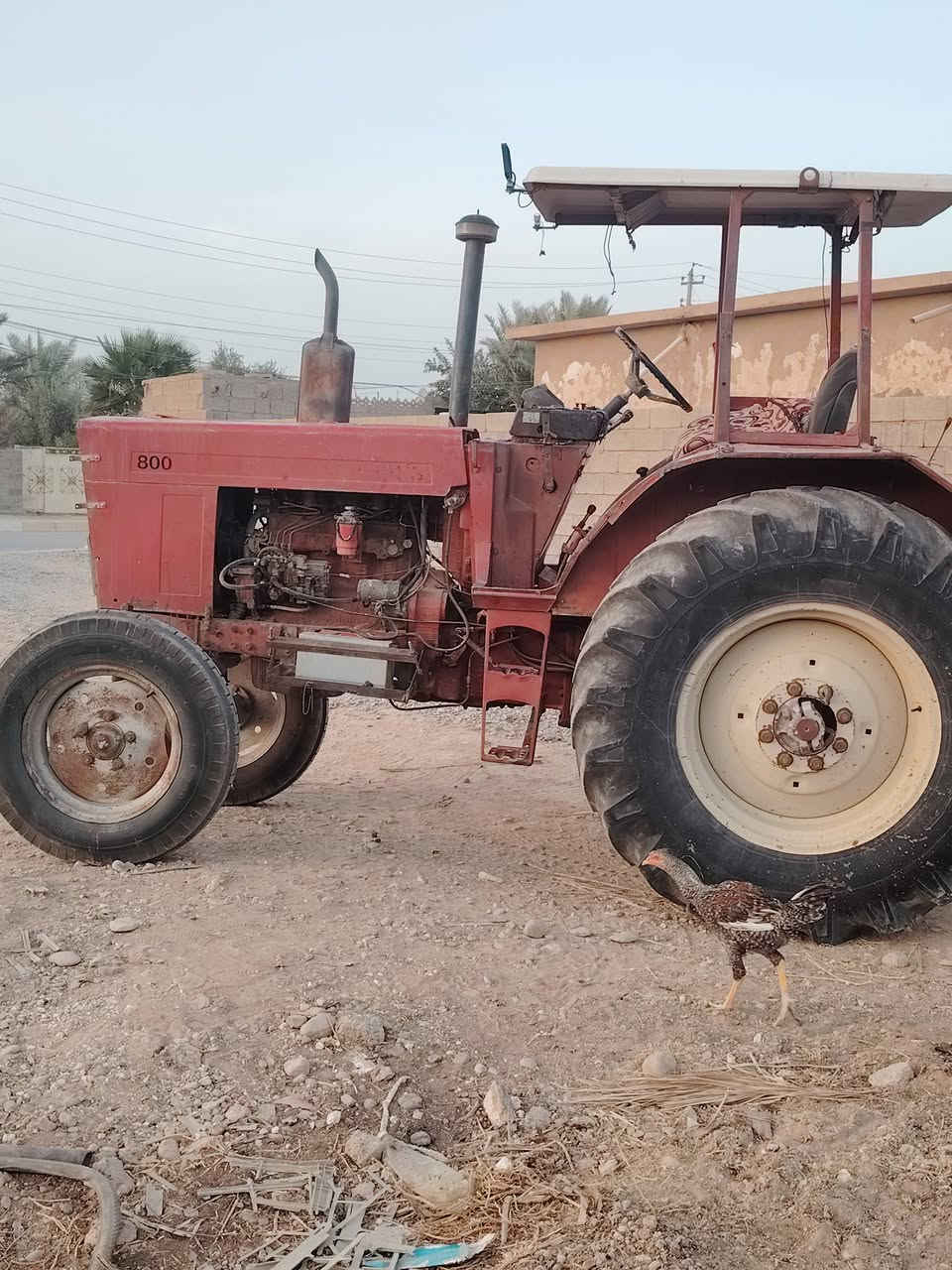 تركتر بلاروس للبيع جاهز عل شغل رقم صلاح الدين مكان التركتر ناحيه العباسي ***********
