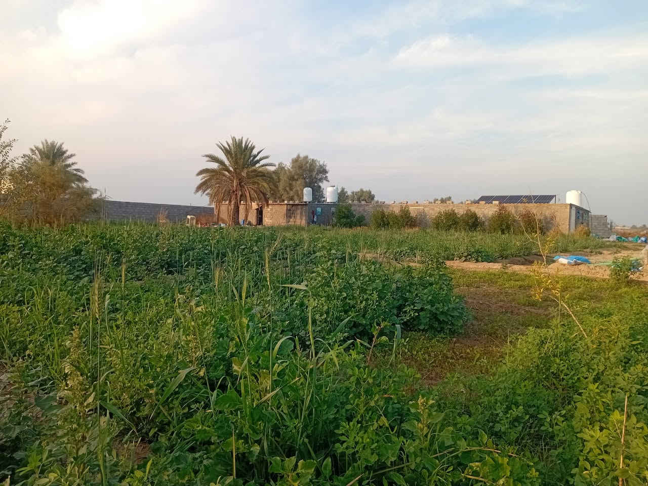 دونم سؤاحي استثماري في اليوسفية بيرالحمام بيةبيت٩٠ متر وبيةثلاث حقول دواجن مع منضومة طاقةشمسيةمع غرفة مولدمع ماء اسالة وكهرباء ثري فيز ب١٠٠وبية مجال اتصل ***********ابوعبداللةواتساب
