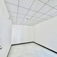 النجف شارع الحولي • ٥٠م • طابو زراعي