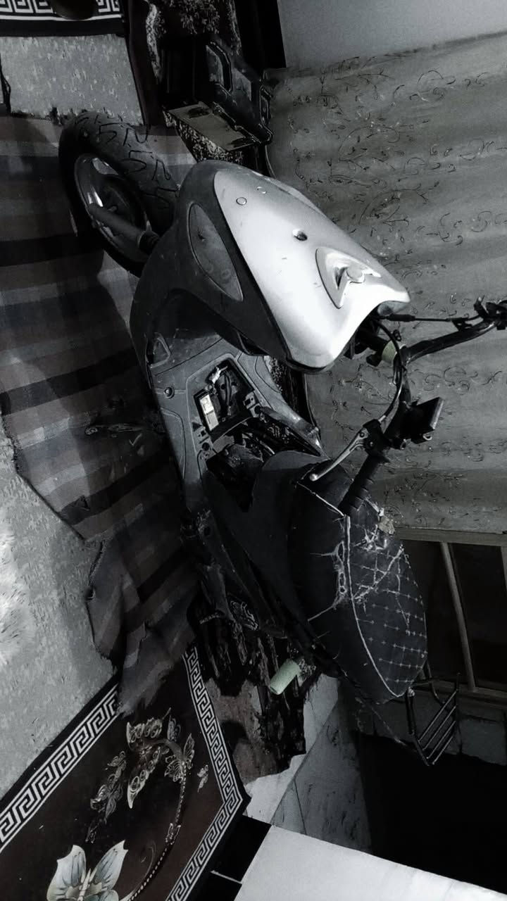 سلام عليكم يولد ماكس منغولي بوشه 55 🎭مال لعب صالنصه BF صجميه طياريات صفح للبيع السعر 275 او مراوس💙 بعدله مال لعب ناصريه مركز.. 😉💥


**إذا كنت صاحب هذا الإعلان وتريد حذفه لأي سبب، رجاءا أرسل رسالة إلى الدعم الفني**