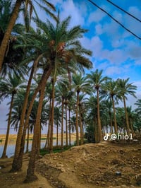 قطعة ارض عرب جبور مساحة 30 دونم من ضمنها دونم ع نهر دجلة سعر الدونم 16...