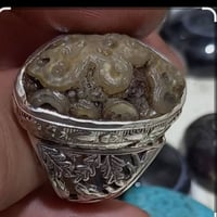 زوعه الحيه • اصلي