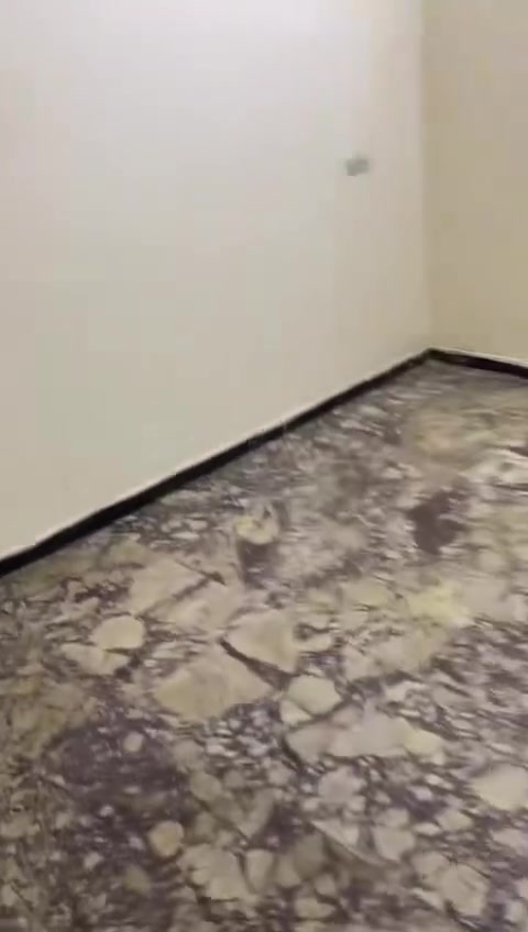 السلام عليكم
مشتمل طابق اول يحتوي على استقبال ومطبخ وغرفه نوم مع سبلت وغرفه نوم جاهزه كامل وجاهز 

المكان حي جامعه الخارجية السعر ٦٠٠
***********
