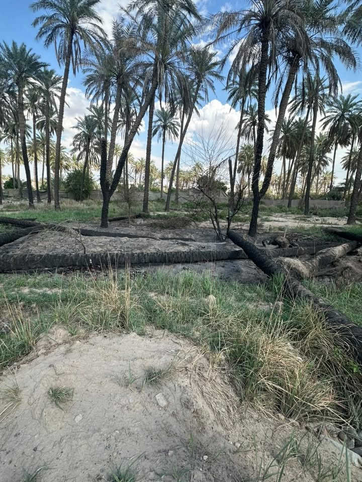 قطعة ارض زراعي سند 25 ملك متوفر جميع الخدمات ماء + كهرباء للبيع المساحة 120 متر مطله على شارع البيارق السعر السعر 35
التواصل :***********
