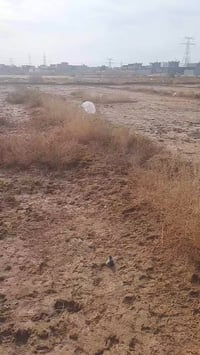 مقابيل النازحين • ٤ ونص دونم • على شارعين