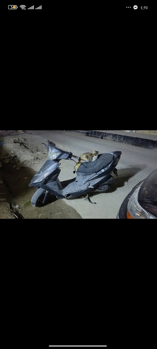 سلام عليكم دراجه اسيام جيتي ار محرك 150 دراجه شلعه شك الكاع ودراجه تخبل عطل سلف وعفتها صار سبوع هيچ أبيعك كوم حديد 120 الف والله بلاش تاير امامي رياضي يدأت رياضي


**إذا كنت صاحب هذا الإعلان وتريد حذفه لأي سبب، رجاءا أرسل رسالة إلى الدعم الفني**