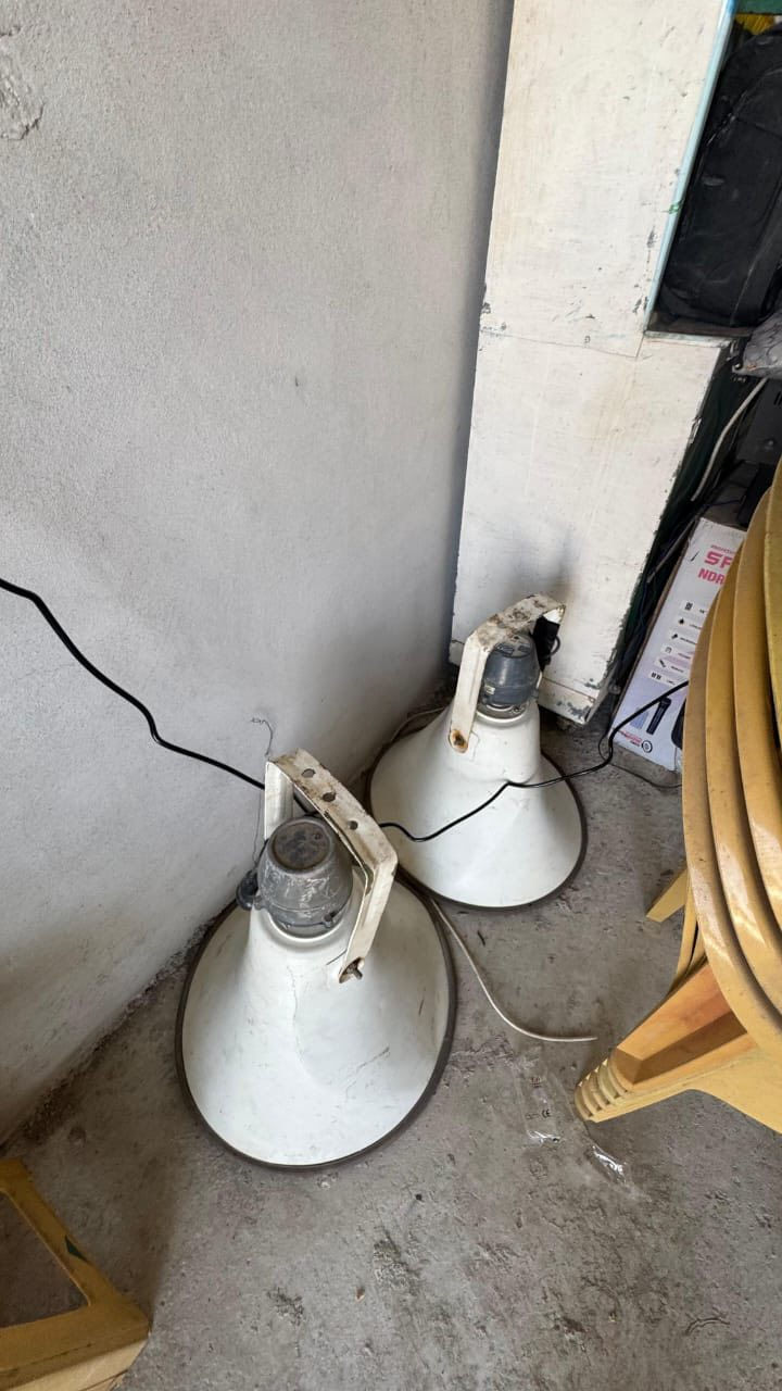 #بيع_مستعجل #للبيع_كامل
- كرأسي عدد 964 جديدات 
- طبلات عدد 472 جديدات 
- خيم عدد 5 جديدات مع الحديد كامل ومع كهربائياتهم كامل نوع القماش الخارجي ياباني نوع فاخر 
- مشاعل 15 مشعل جديدات شغلات كامل 
- جداري 5 طخمات عدد 15 مع جداري صغار ثلاثة مع كافة مستلزمات الطبخ كامل 
- قواري شاهي 11 كبار وقواري صغار 12 كلهم جديدات مع عدد دلة 4 جديدات كامل
- مناسف الفافون عدد 569 جديدات 
- ومناسف ستيل عدد  249 جديدات
- مغاسل 6 كاملات جديدات
- سماعات ثلاثه اثنين مكبرات وواحد ديجاي
- ميز طعام 60 عدد
- للبيع كل الأغراض كامل أو نصف 
-الأغراض جديده بالكامل لم تستعمل الا مرتين او ثلاث 
- للأستفسار أو السؤال الاتصال على الأرقام التالية
- 🔴 ***********
- 🔴***********
