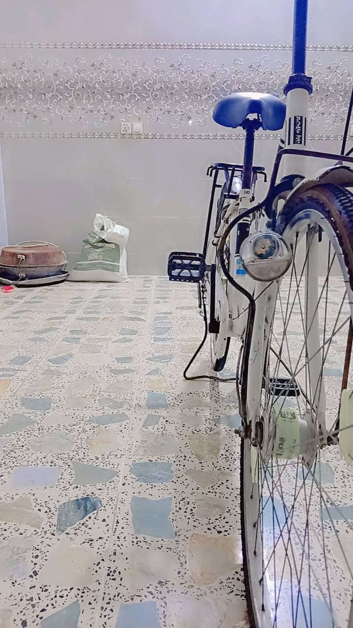 كل للبيع سعر بناتي 26 موديل 17 ما ناقصه شيء يريد يجيني خاص سعر 70


**إذا كنت صاحب هذا الإعلان وتريد حذفه لأي سبب، رجاءا أرسل رسالة إلى الدعم الفني**