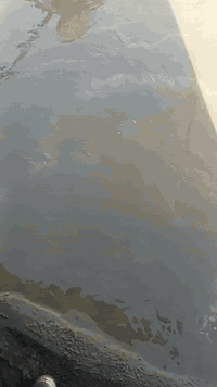 السلام عليكم ورحمه الله وبركاته سنه سعيده عليكم ان شاء الله سنه 26 احنا جماعه الصب اليدوي اللي عندي بيت ما مسلط ومسلطه واللي عنده صبه نظافه نشتغلها تنظيف وصب شغل درجه اولى يرضي بي الله سبحانه وتعالى شغلي داخل البصره ***********
