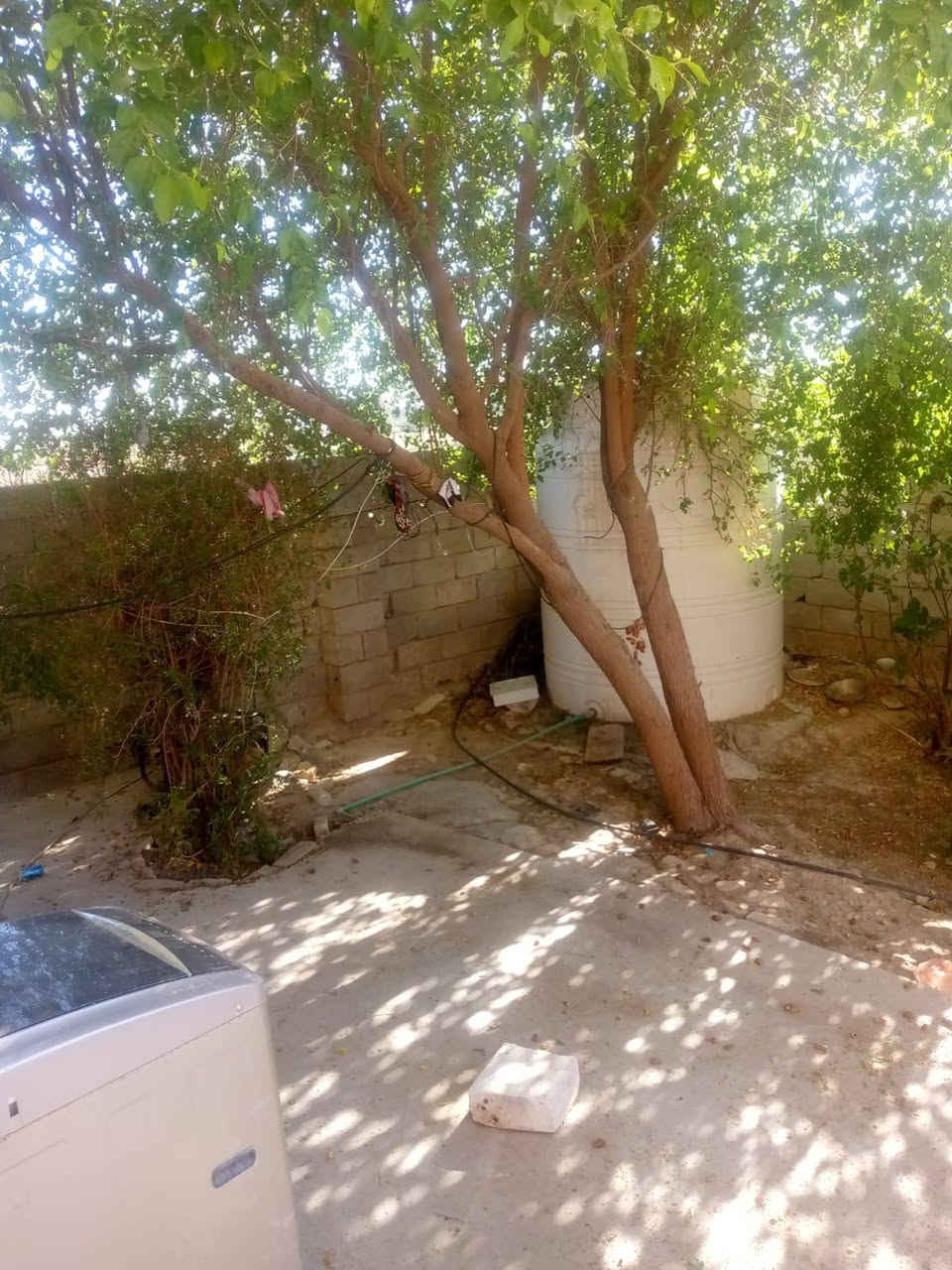 بيت زراعي سند 25 قرب سيطرت المصلخ غرفتين وبراني وصاله ومطبخ بنيان طابوك بنيان 2018 متوفر جميع الخدمات السعر 35 بيت جديد وحلو ومرتب واسع بيت فارغ شراي يجي خاص ***********
