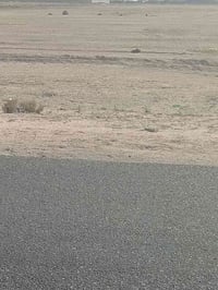 ١٠ دوانم • شارع تبليط • شارع المعادن