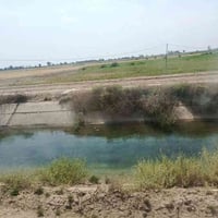 6 دوانم • تاجي سبع البور • خدمات كامله