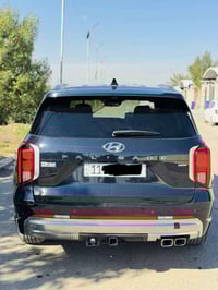 باليسايد كالكرافي • ٢٠٢٤ • ١٣٠٠٠ كم