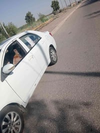 بي واي دي • ٢٠١٣ • محور كورلا