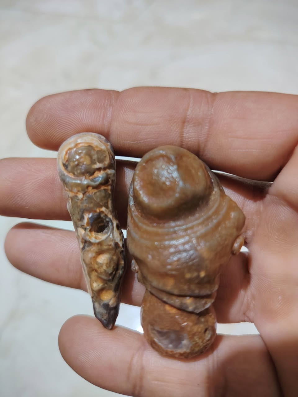 من حدود السعودية ملاگط
مصورات " السعر خاص


**إذا كنت صاحب هذا الإعلان وتريد حذفه لأي سبب، رجاءا أرسل رسالة إلى الدعم الفني**