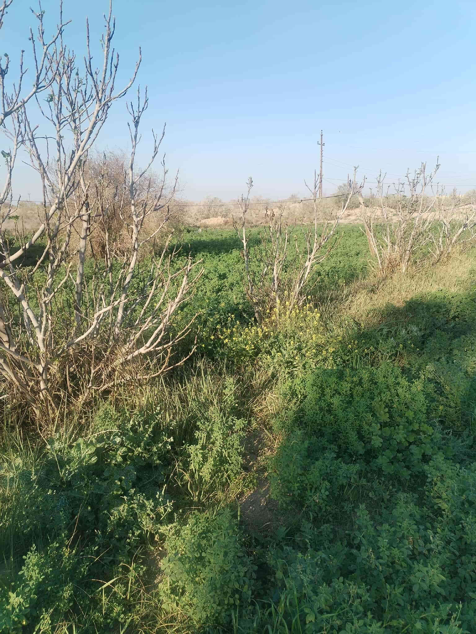 📌 للبيع دونم طابو سند 25 – السنيه / الساده الرحمان (أو نزلة سيد جرس)
🏠 يحتوي على بيت حديث بناء طابوق عكادة – المساحة 200 متر
🚰💡 كافة الخدمات متوفرة (ماء، كهرباء، تبليط واصل للباب)
📍 الموقع مميز وقريب من الخدمات
للاستفسار خاص او الاتصال على الرقم ***********
