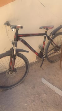 باسكل ٢٩ • النجف