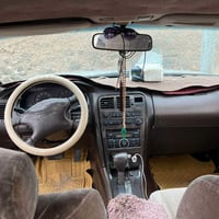 شيزر • ٢٠٠٠ • مصبوغة