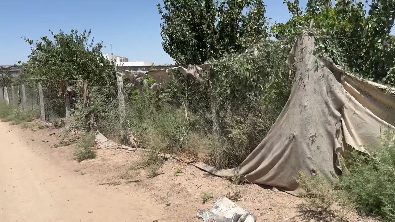 للبيع او مراوس

سلام عليكم للبيع او مراوس 
بستان ١ دونم موقعها بين مدخل ٢ و٣  
الوجها ٦٠ متر  والنزال ٤٢  قابله للتقسيم منتجع واحد او منتجعات ثنين مزروعه عنب وعرمط 
سعر مناسب للأستفسار اتصال ***********
