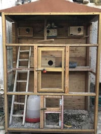 قفص • نضيف • ١٫٥م×١٫١م