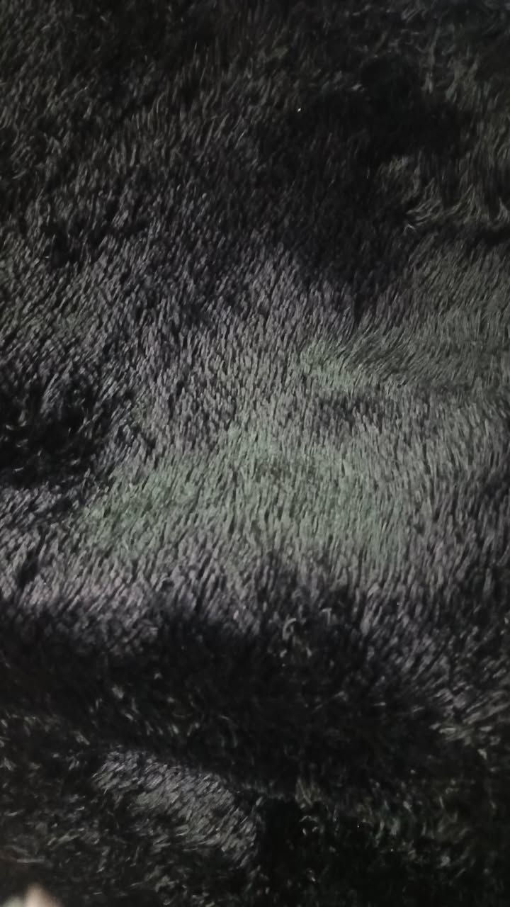 فروة قياس 3*2 أي ضرر مابيهة استخدام شهرين


**إذا كنت صاحب هذا الإعلان وتريد حذفه لأي سبب، رجاءا أرسل رسالة إلى الدعم الفني**