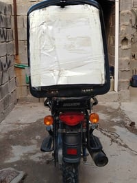 بوكسر مديل 22 • أوراق كاملة • تقاطع الدريويش