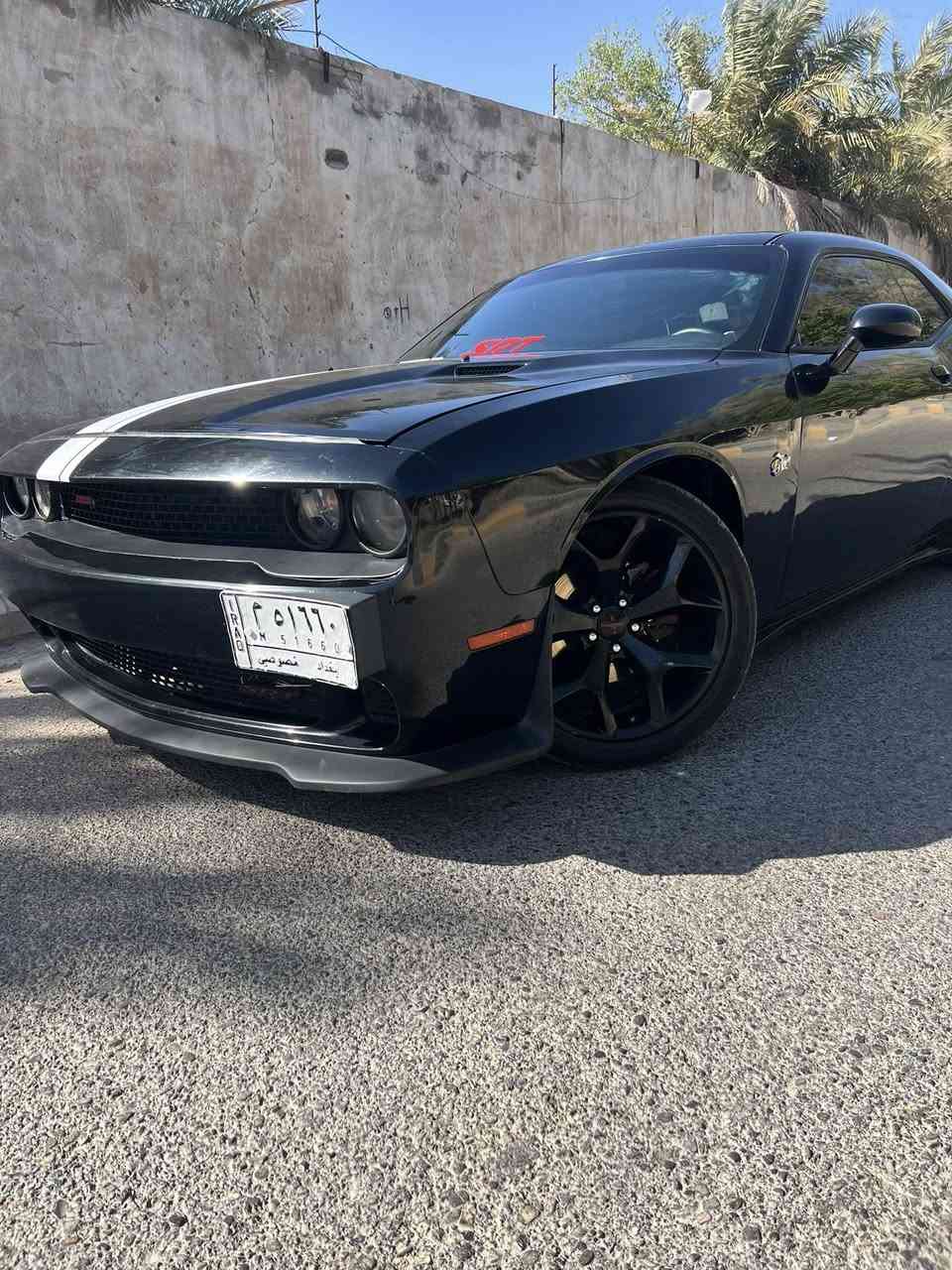 جالنجر 2014 للبيع أو مراوس بكوري
2014بأسمي رقم انكليزي تحويل ثاني يوم 

فقط كلير 
سياره كفاله من الضربه وتبديل فقط صبغ حزام بدون 
جنطه بنيد قماره بدون صبغ كفاله 
گير محرك لغد شواصي تدفئة تبريد صدر امامي خلفي كفالة
مواصفات عادية 
شاشه وكامره خلفيه
كشن كهرباء 
منافذ اواكس 
تحديد سرعه 
تحكم ستيرن جهتين 
لايتات زنون 
بصمه وتشغيل عن بعد 
ادامة كاملة للمكينة ( بلكات نوزلات فيت بم وقاعه غرفه احتراق جويتر ) 
بدون اي دواخل ولا شواصي ولا لغد 
***********
