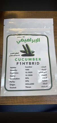 خيار نكرس • مكتب الانوار • النجف الحيدرية