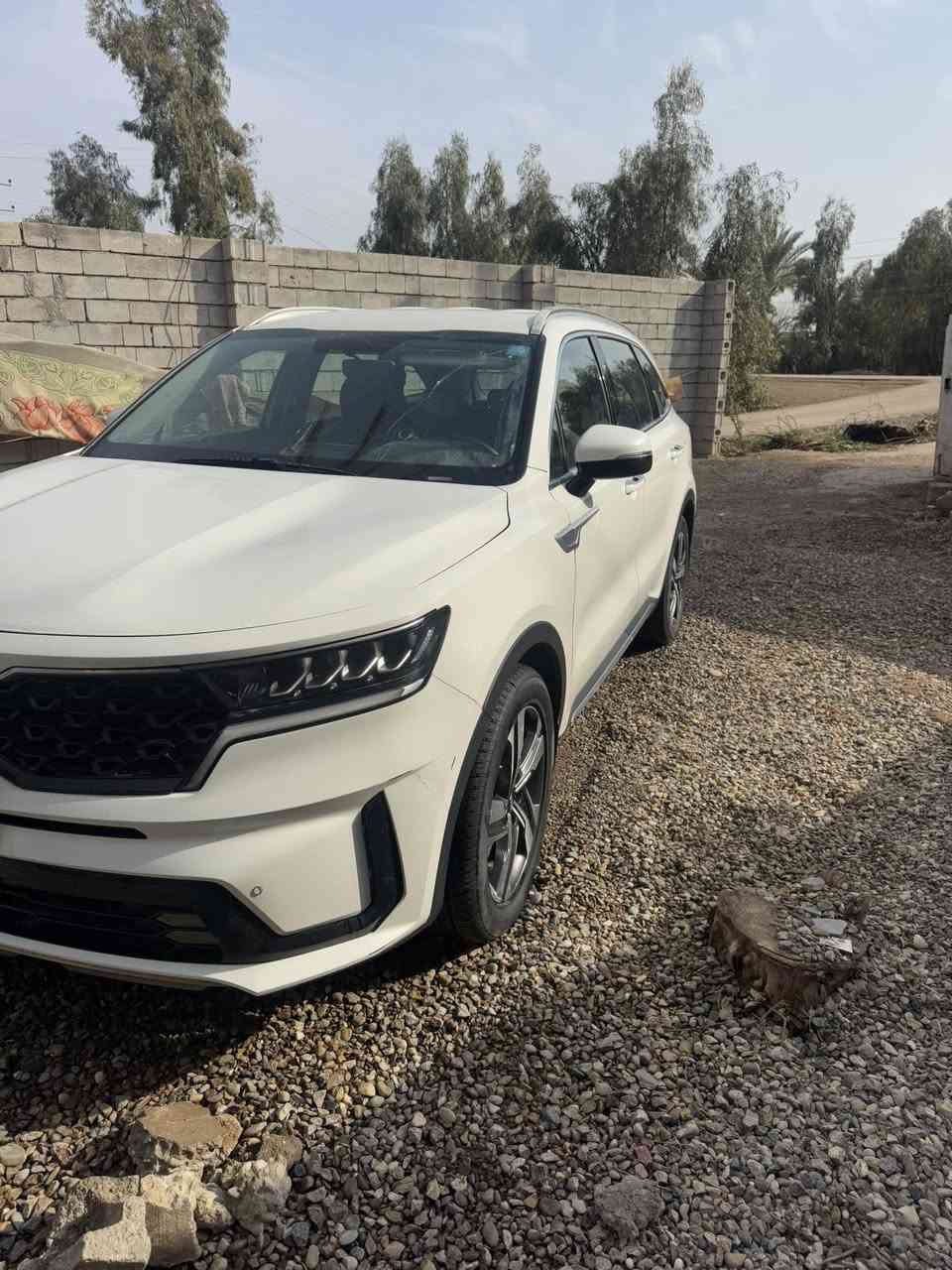 سورنتو موديل 2021 خليجي
السلام عليكم

للبيع سورنتو 21 خليجي  بيها قطعتين مبدلات اصليات وشخط بلباب مرشوش 

 رقم بغداد

مواصفات

‏3500cc V6 محرك

بصمة ابواب + بصمة تشغيل + تشغيل عن بعد كير طيارة+ شفتات بالستيرن

‏Gbs خرائط 

اضاءة الخلفية  بالكامل LED نهاري ابيض

ويل كب قياس 19 

 + مانع انحدار

مانع انزلاق

حساسات امامية وخلفية

الكراسي كهرباء

جنطة كهرباء

تحكمات ستيرن + مثبت سرعة

اشارات مرايا + مري شفط + مري كهرباء شاشة + كامرة خلفية دوارة

وضعيات قيادة ( اعتيادي - ذكي - اقتصادي - رياضي )

3 قطع تبريد

٧ راكب
السعر 230
للاستفسار الاتصال ع الرقم
***********مكان صلاح الدين الضلوعية
