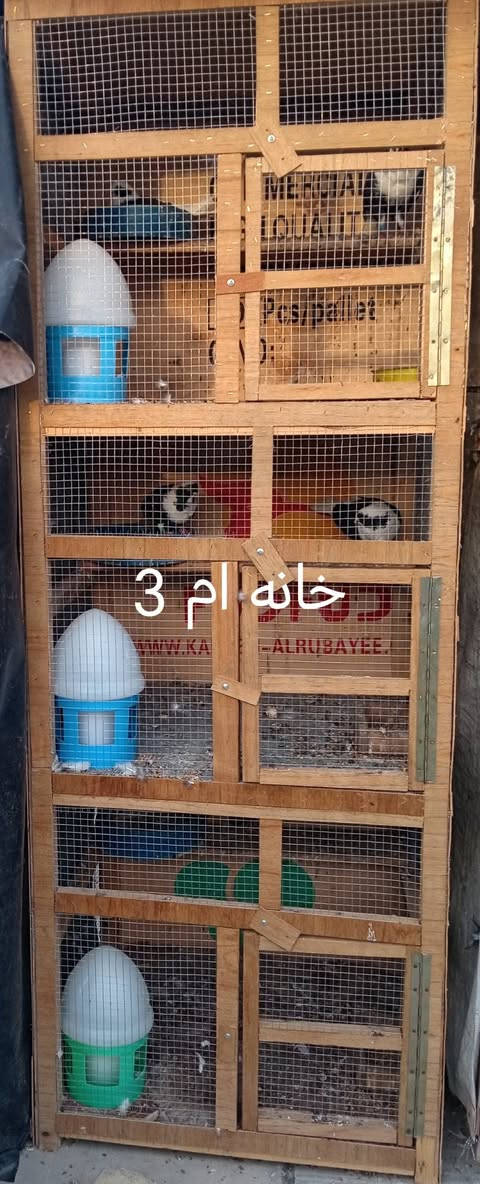 خانات البيع مكان الفلوجه حي الجولان الاستفسار  ***********_ ***********
