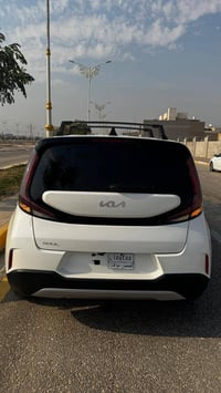 سول • ٢٠٢٥ • حادث صبغ