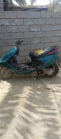 شغالة • ما بيه نقص • مجال حك