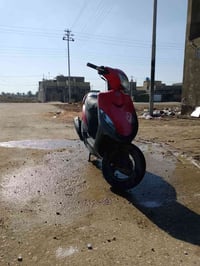 ماكس عدله • بوشه ٤٩ • محاويل بابل