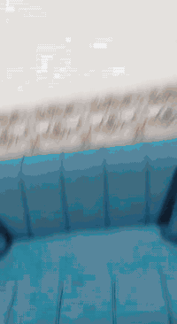 تخم للبيع نضيف مثل ماموضح بلفديو سعره ٢٠٠ وبي مجال بسيط للتواصل 077065...