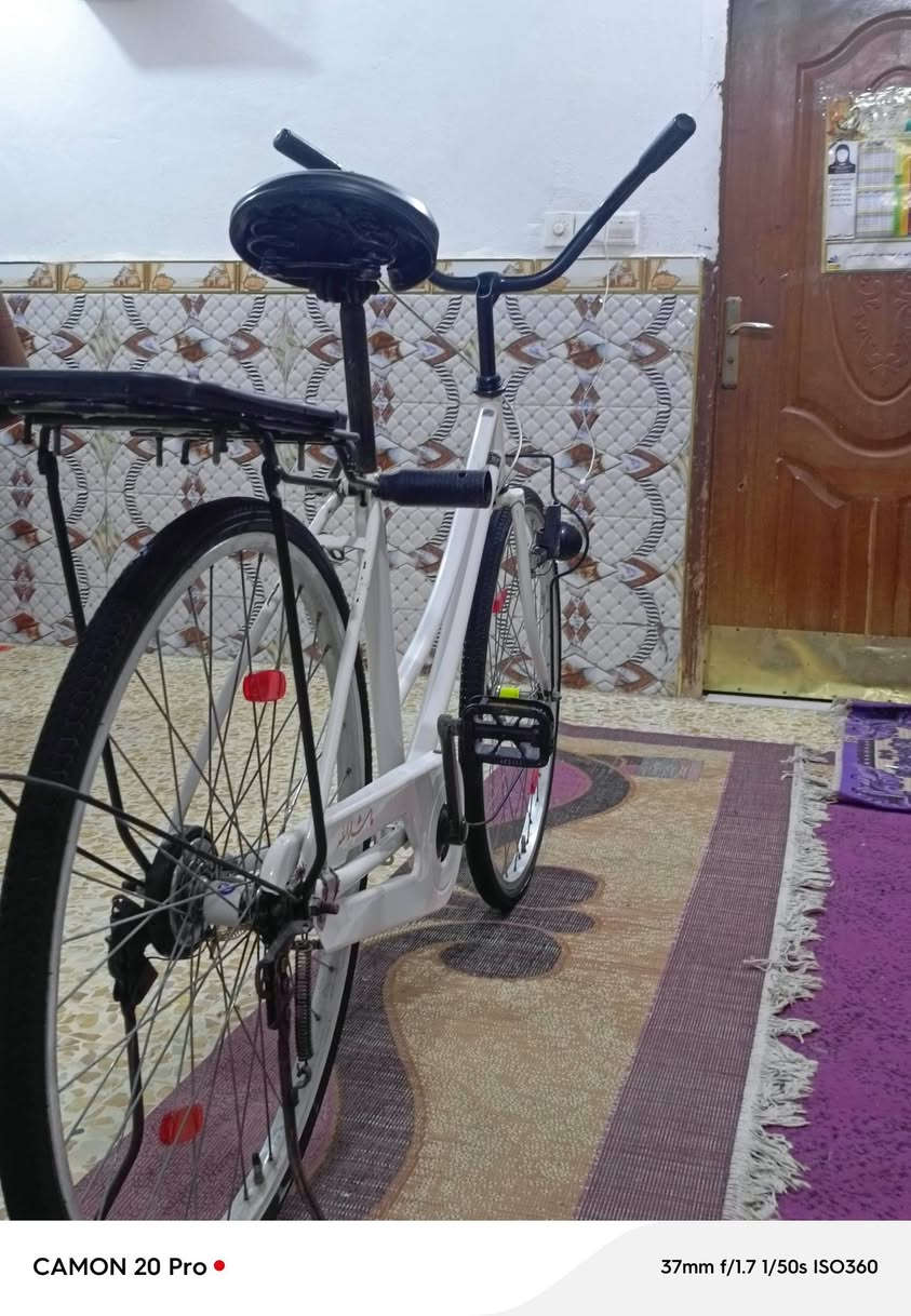 بيسكل البيع حجم 26 مديل 15 سعر 100 وبي مجال


**إذا كنت صاحب هذا الإعلان وتريد حذفه لأي سبب، رجاءا أرسل رسالة إلى الدعم الفني**