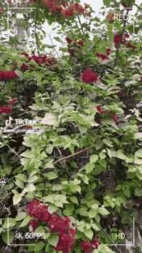 السعر 100 داتا شو اندرويد فول الدقه


**إذا كنت صاحب هذا الإعلان وتريد حذفه لأي سبب، رجاءا أرسل رسالة إلى الدعم الفني**